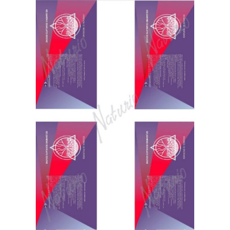 ETIKETY GELSOMINO SCARLATTO DIVINE, 4ks